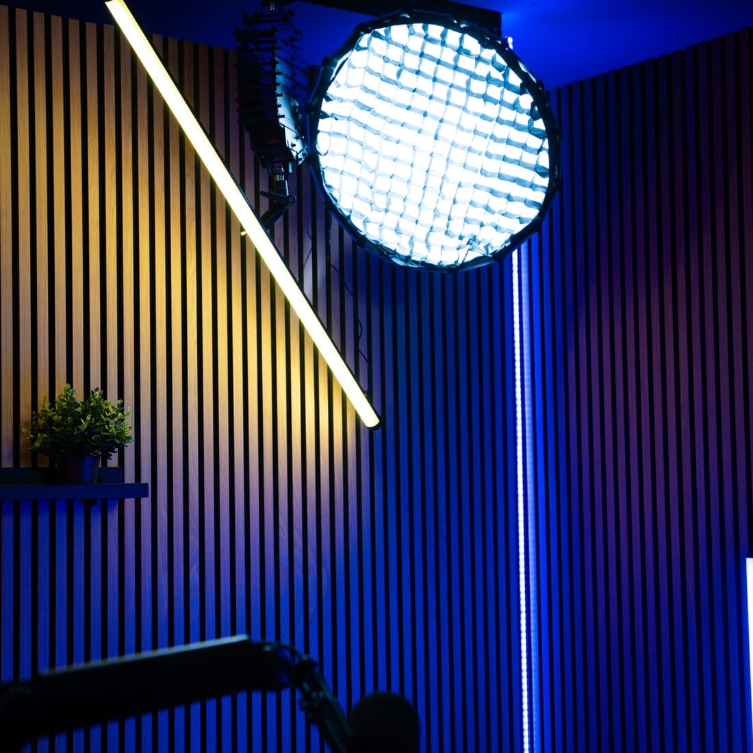Softbox und Lichtstab vor der Lamellenwand